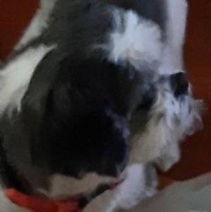 Meet your Posher, Kay